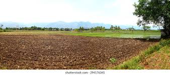 Agricluture land valuer by bharat patel